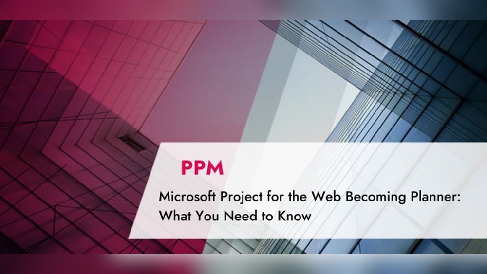 Everything You Need To Know For A New Web Project