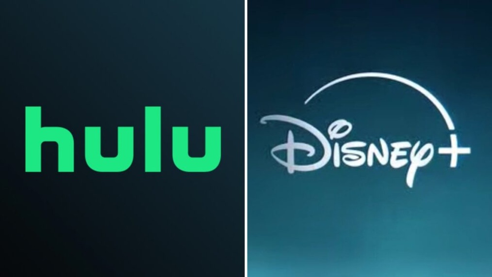 Hulu Users