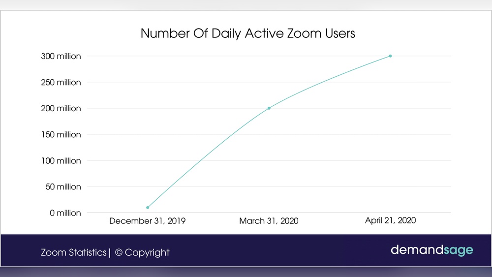 Zoom Users